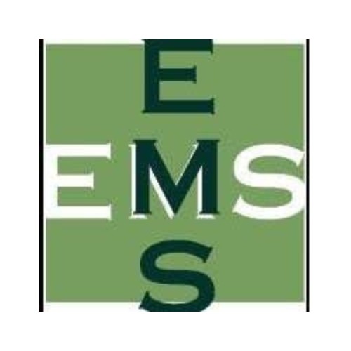 easter medical staffing logo